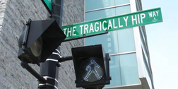 Pedestrian crossing signal in downtown Kingston